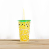 Insulated Plastic Tumbler Straw Cup Watermelon Seeds Crushed Ice Water Bottles