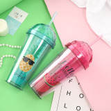 Insulated Plastic Tumbler Straw Cup Watermelon Pineapple Water Bottles