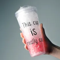 Insulated Plastic Tumbler Straw Cup Slogan Crushed Ice Water Bottles
