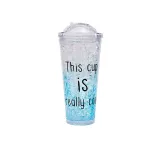 Insulated Plastic Tumbler Straw Cup Slogan Crushed Ice Water Bottles