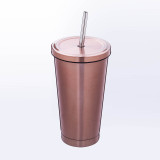 Insulated Stainless Steel Tumbler Straw Cup Vacuum Water Bottles