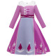 Toddler Girls Frozen 2 Elsa Purple Princess Dress