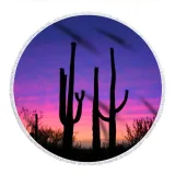 Prints Cactus Cotton Beach Towel Blanket Table Cover Wall Hanging