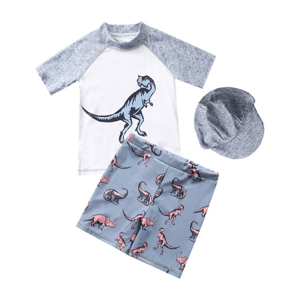 Kid Boys Print Grey Dinosaurs Swimsuit Tow Pieces With Swim Cap