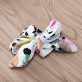 Baby Toddle Girls Tassels Bikini Prints Dinosaurs Flowers Shorts Swimwear Sets 0-2 Years