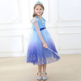 Toddler Girls Long Sleeve Princess Dress