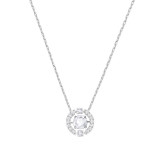 Beating Heart Clavicle White Zircon Diamond Chain Jewelry Necklace