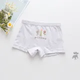 Kid Girls 5 Packs Cute Prints Stripes Flowers Animals Boxer Briefs Cotton Underwear