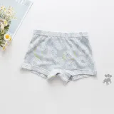 Kid Girls 5 Packs Cute Prints Stripes Flowers Animals Boxer Briefs Cotton Underwear