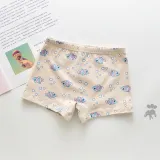 Kid Girls 5 Packs Print Mermail Fish Seastars Boxer Briefs Cotton Underwear