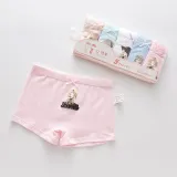 Kid Girls 5 Packs Print Little Girl Boxer Briefs Cotton Cartoon Underwear