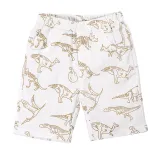 Toddler Boys Print Dinosaurs Cotton Summer Beach Shorts