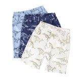 Toddler Boys Print Dinosaurs Cotton Summer Beach Shorts