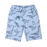 Toddler Boys Print Dinosaurs Cotton Summer Beach Shorts