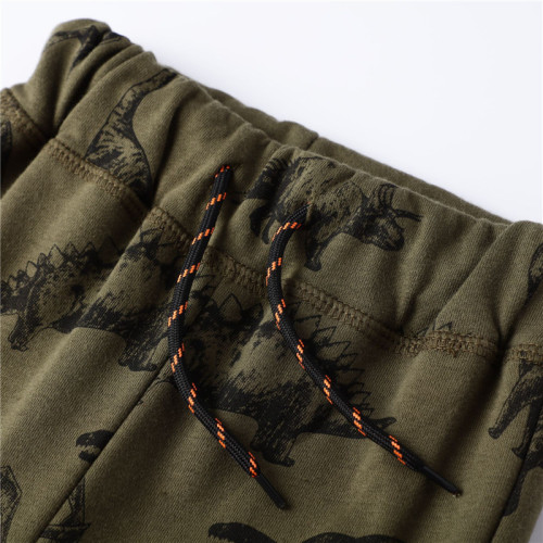 Toddler Boy Army Print Dinosaurs Casual Cotton Pants
