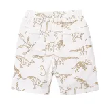 Toddler Boys Print Dinosaurs Cotton Summer Beach Shorts