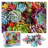 Succulent Plants Develop Creativity Play 1000 Pieces Cardboard Puzzles For Adults Kids