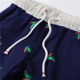 Toddle Kid Boys Dinosaurs Pattern Cotton Drawstring Summer Shorts