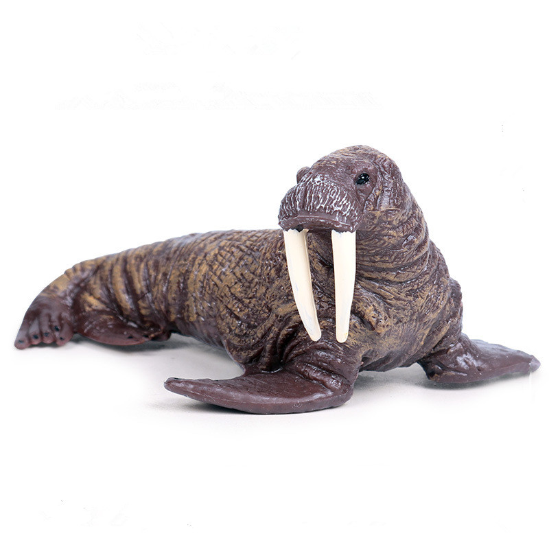 walrus slippers