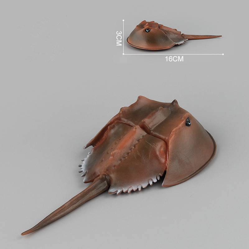Educational Realistic Tachypleus Chinensis Underwater World Marine Life Figures Playset Toys