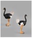Educational Realistic Simulation Ostrich Animals Model Figures Playset Toys
