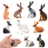 Educational Realistic Rabbit Animals Model Figures Playset Toys