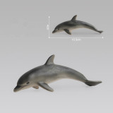 Educational Realistic 14PCS Underwater Sea World Marine Model Life Figures Playset Toys
