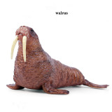 Educational Realistic Ocean Walrus Model Figures Playset Toys