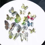 12PCS Double-Deck Laser Butterfly Wall Stickers Door Room Magnetic Decorative
