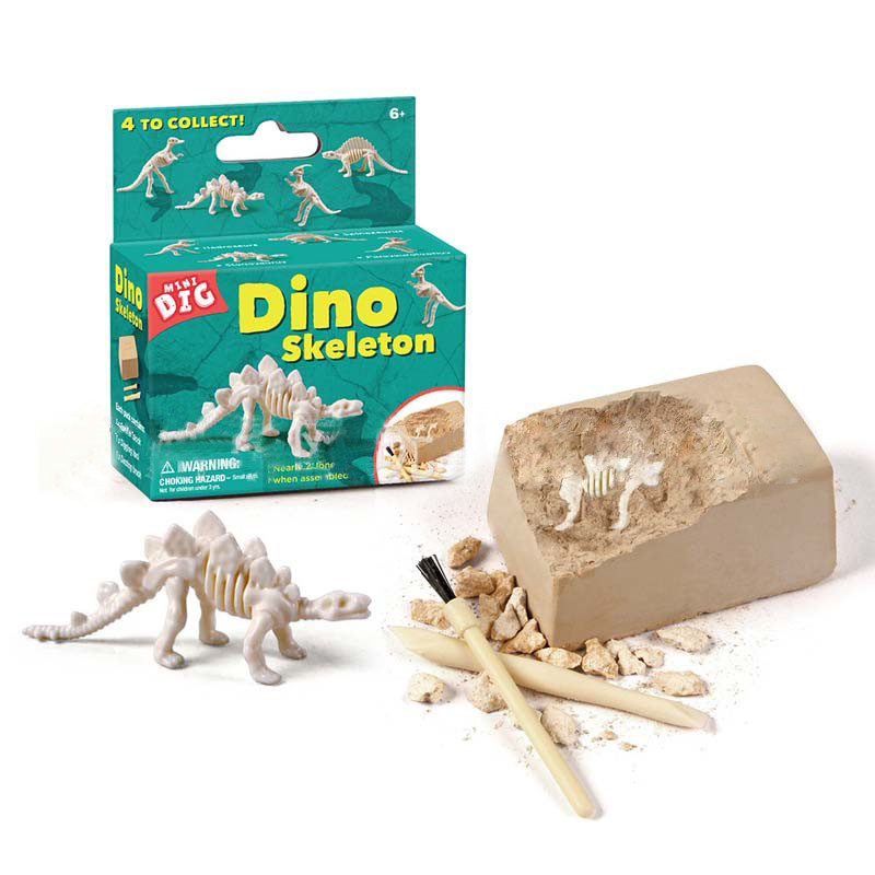 dinosaur skull dig kit