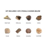 Crystal Gem Fossil Discovery Rock Dig Set Diy Science Education Kit Toys For Kids Teens