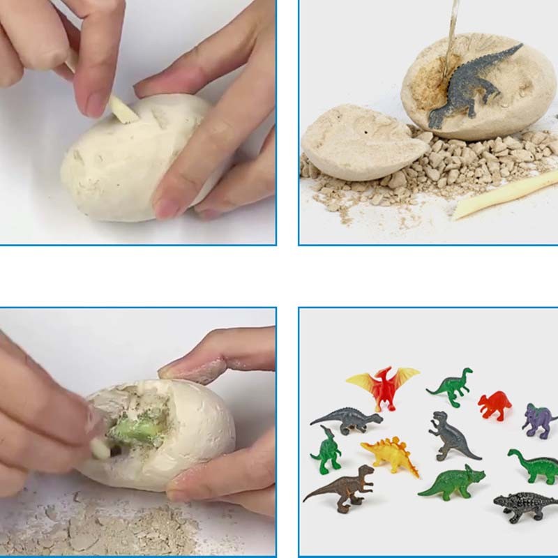 dinosaur egg discovery