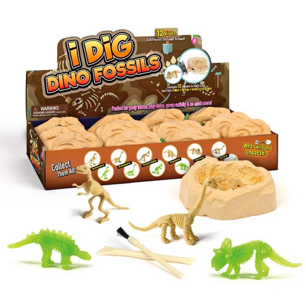 dinosaur egg discovery