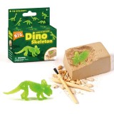 Dinosaur Skull Discovery Dig Kit Science Education Toys For Kids Teens