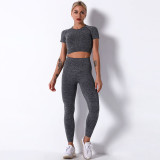 Women Seamless Knit Workout Fitness Short Sleeve And Tight Yoga Leggings Sets