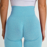 Women Seamless Yoga Leggings Sports Fitness Pants Moisture Absorption Tummy Control Running Stretch Workout Pants