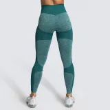 Women Seamless Hip Hygroscopic Yoga Leggings Sport Tights Workout Fitness Pants