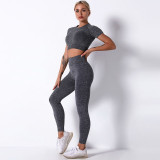 Women Seamless Knit Workout Fitness Short Sleeve And Tight Yoga Leggings Sets