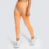 Women Seamless Hip Hygroscopic Yoga Leggings Sport Tights Workout Fitness Pants