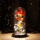 LED Eternal Luminous Rose Flower Glass Cover Rose Gold Foil Gifts