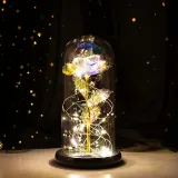 LED Eternal Luminous Rose Flower Glass Cover Rose Gold Foil Gifts