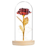 LED Eternal Flower Glass Cover Rose Gold Foil Gifts
