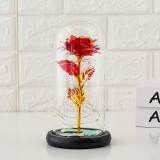 LED Eternal Luminous Rose Flower Glass Cover Rose Gold Foil Gifts