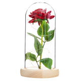 LED Eternal Flower Glass Cover Simulation Rose