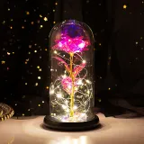 LED Eternal Luminous Rose Flower Glass Cover Rose Gold Foil Gifts