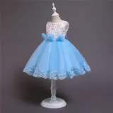 Girl Pearls Tutu Floral Embroidered Bowknot Tutu Gown Dresses