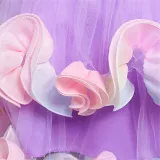 Girl Rainbow Tutu Flower Princess Sleeveless Dresses Two Layers Gown Dress