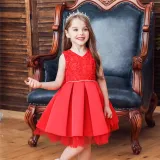 Toddler Girl Embroidered Jewelry Flower Tutu Bowknot Party Gown Dresses
