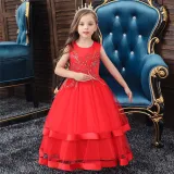 Toddler Girl Embroidered Jewelry Flower Bowknot Two Layers Lace Tutu  Party Gown Dresses