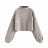 Women Turtleneck Pullover Loose Knitted Jumper Oversized Sweaters Tops